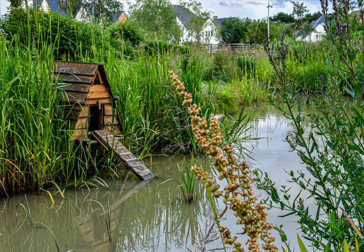 Duck House on Pond